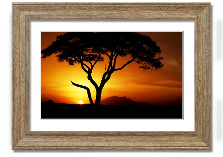 Framed print of an African tree illuminated by golden sunlight, showcasing vibrant colors and intricate details.