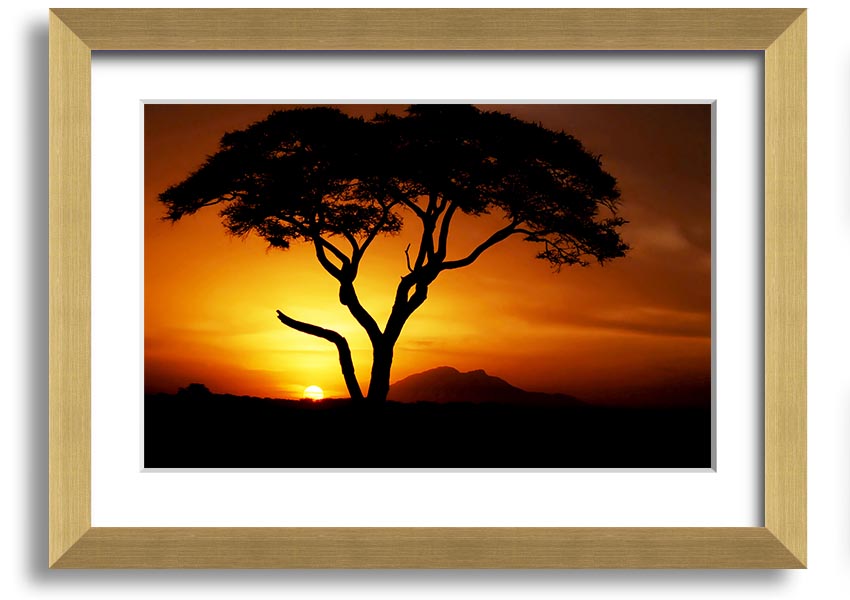 Framed print of an African tree illuminated by golden sunlight, showcasing vibrant colors and intricate details.
