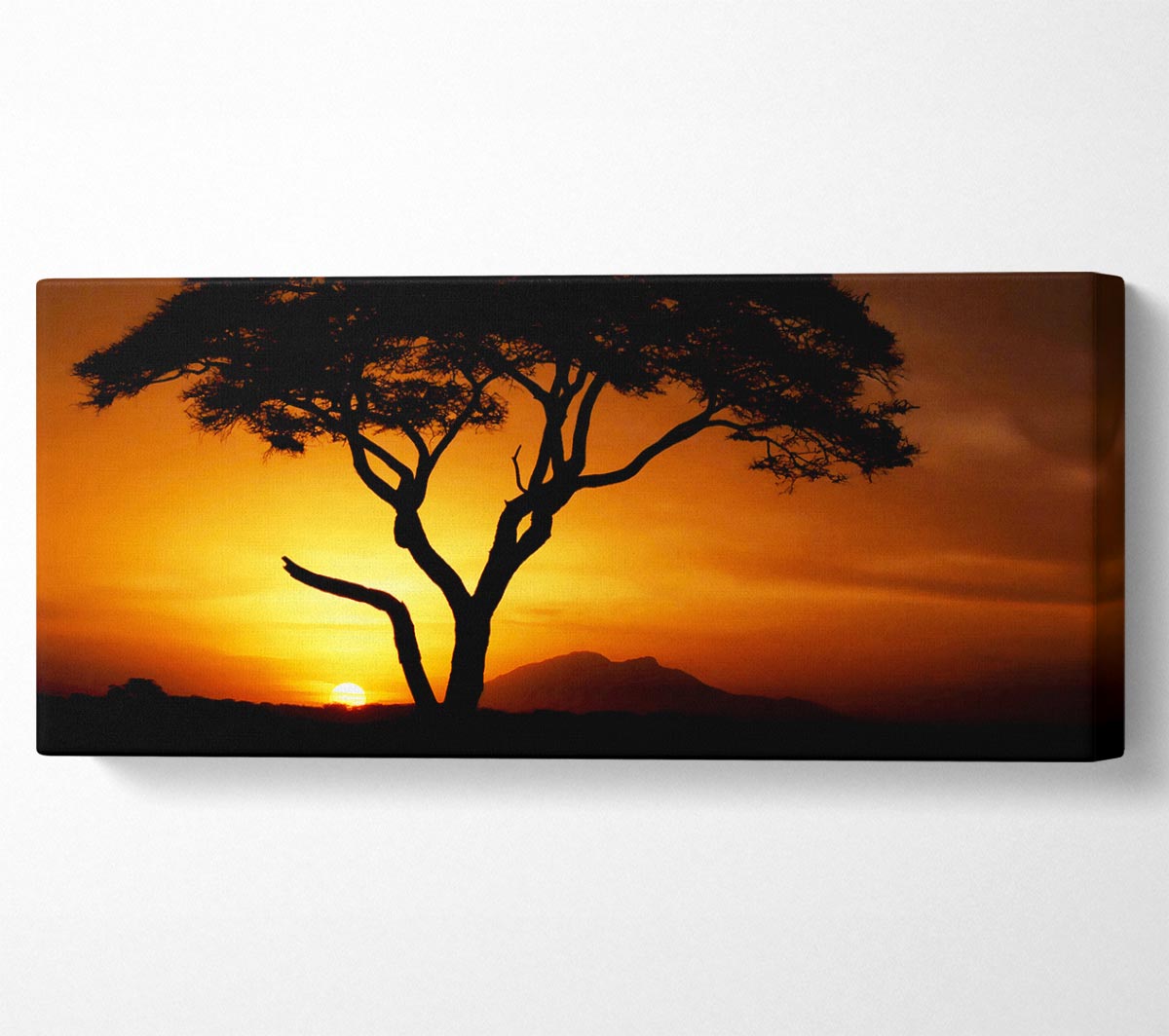 A vibrant canvas print of an African tree illuminated by golden sunlight, mounted on a sturdy box frame, ready to hang.