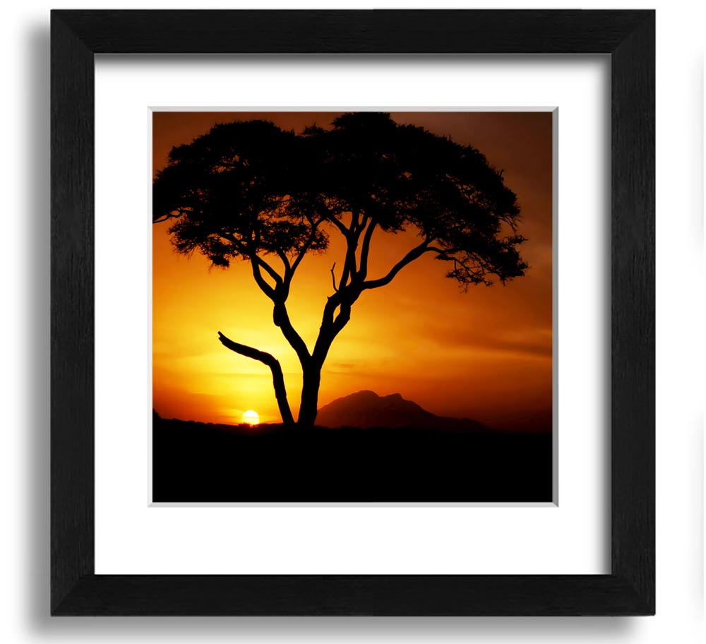 A beautifully framed print of an African tree illuminated by golden sunlight, showcasing vibrant colors and intricate details.