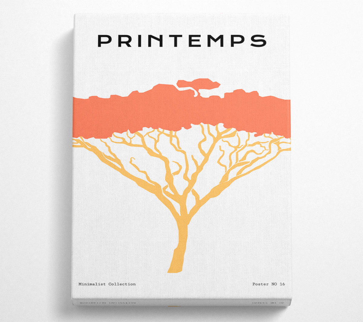 A vibrant print of the African Tree Orange on coated polyester canvas, mounted on a sturdy 44mm box frame, ready to hang.