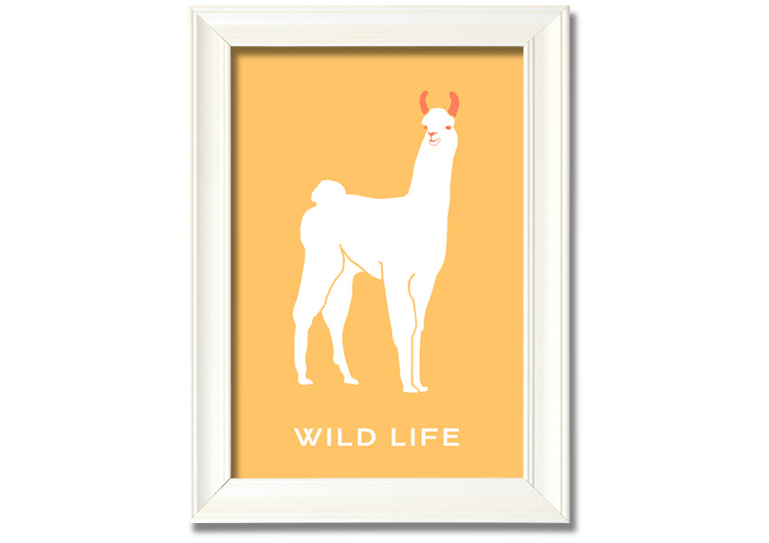 A beautifully framed print of an alpaca, showcasing intricate details and vibrant colours, available in various frame options.