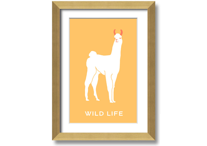 A beautifully framed print of an alpaca, showcasing intricate details and vibrant colours, available in various frame options.
