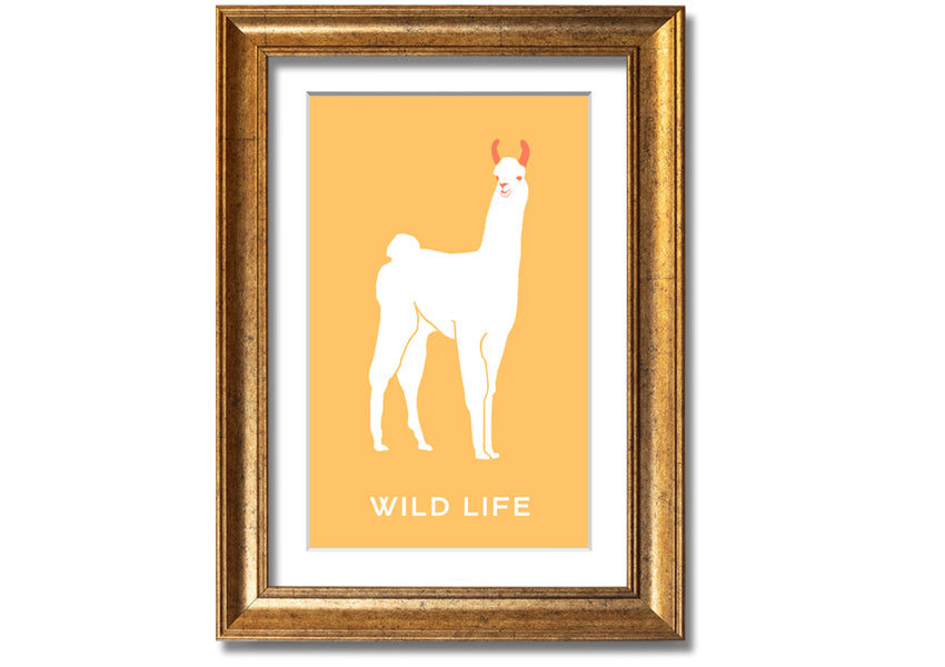 A beautifully framed print of an alpaca, showcasing intricate details and vibrant colours, available in various frame options.