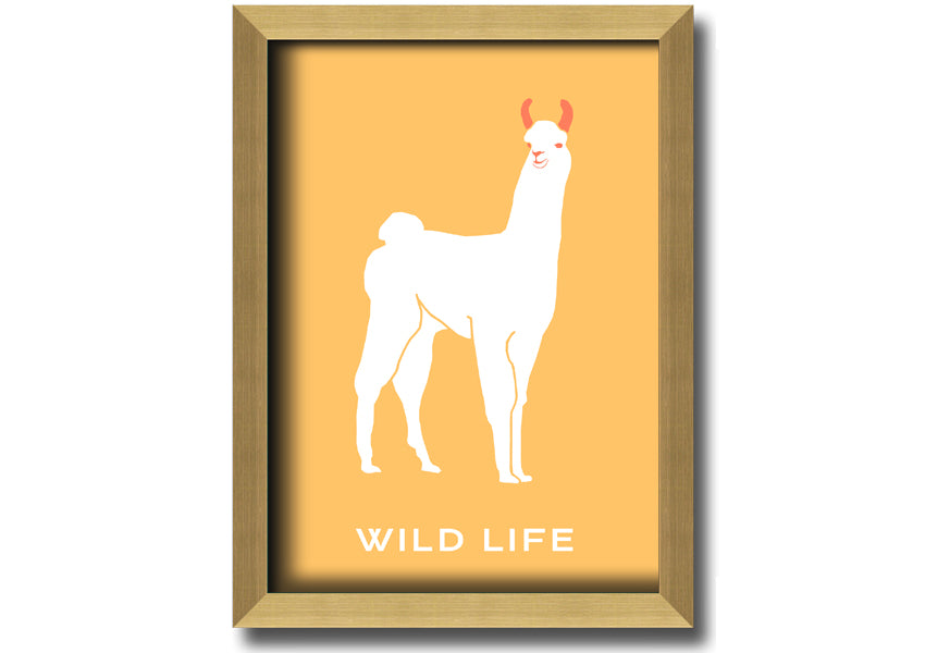 A beautifully framed print of an alpaca, showcasing intricate details and vibrant colours, available in various frame options.