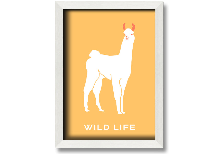 A beautifully framed print of an alpaca, showcasing intricate details and vibrant colours, available in various frame options.