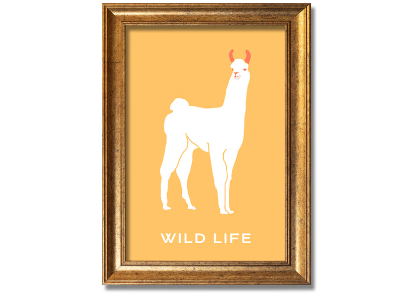 A beautifully framed print of an alpaca, showcasing intricate details and vibrant colours, available in various frame options.