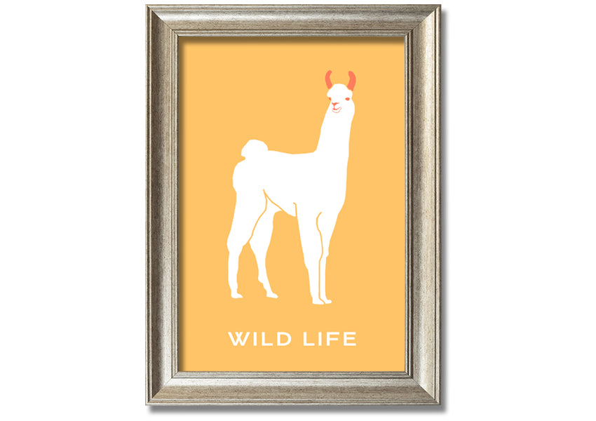 A beautifully framed print of an alpaca, showcasing intricate details and vibrant colours, available in various frame options.