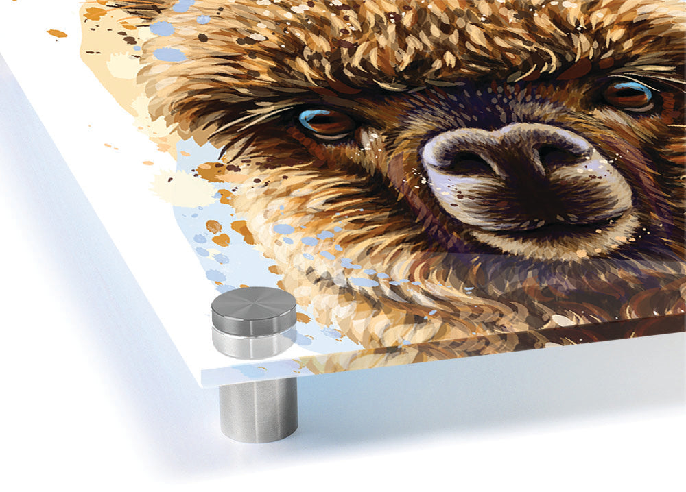 A vibrant acrylic print featuring a detailed image of an alpaca, showcasing its unique expression and colors.