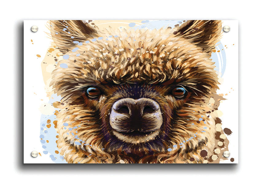 A vibrant acrylic print featuring a detailed image of an alpaca, showcasing its unique expression and colors.