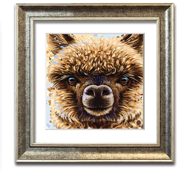 A square framed print featuring a close-up of an alpaca's face, showcasing its expressive eyes and soft fur, available in various frame colours.