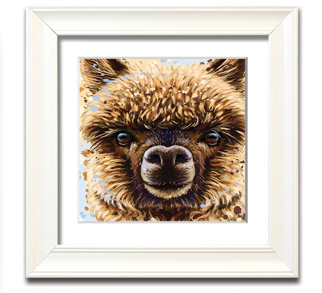 A square framed print featuring a close-up of an alpaca's face, showcasing its expressive eyes and soft fur, available in various frame colours.