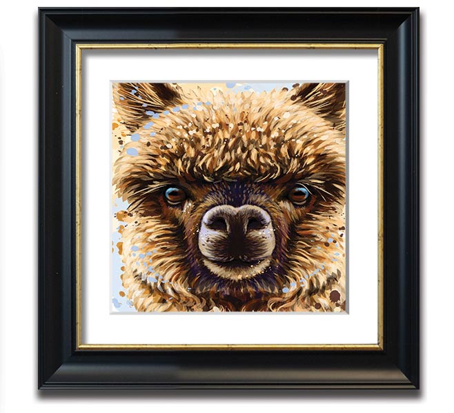 A square framed print featuring a close-up of an alpaca's face, showcasing its expressive eyes and soft fur, available in various frame colours.
