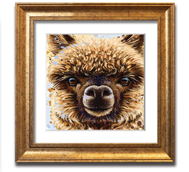 A square framed print featuring a close-up of an alpaca's face, showcasing its expressive eyes and soft fur, available in various frame colours.