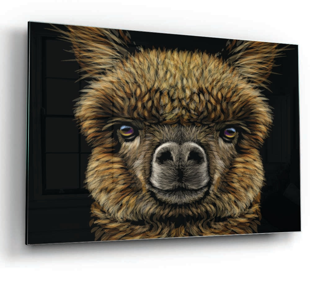 A modern glass print featuring a close-up of an alpaca, showcasing its soft fur and expressive eyes.