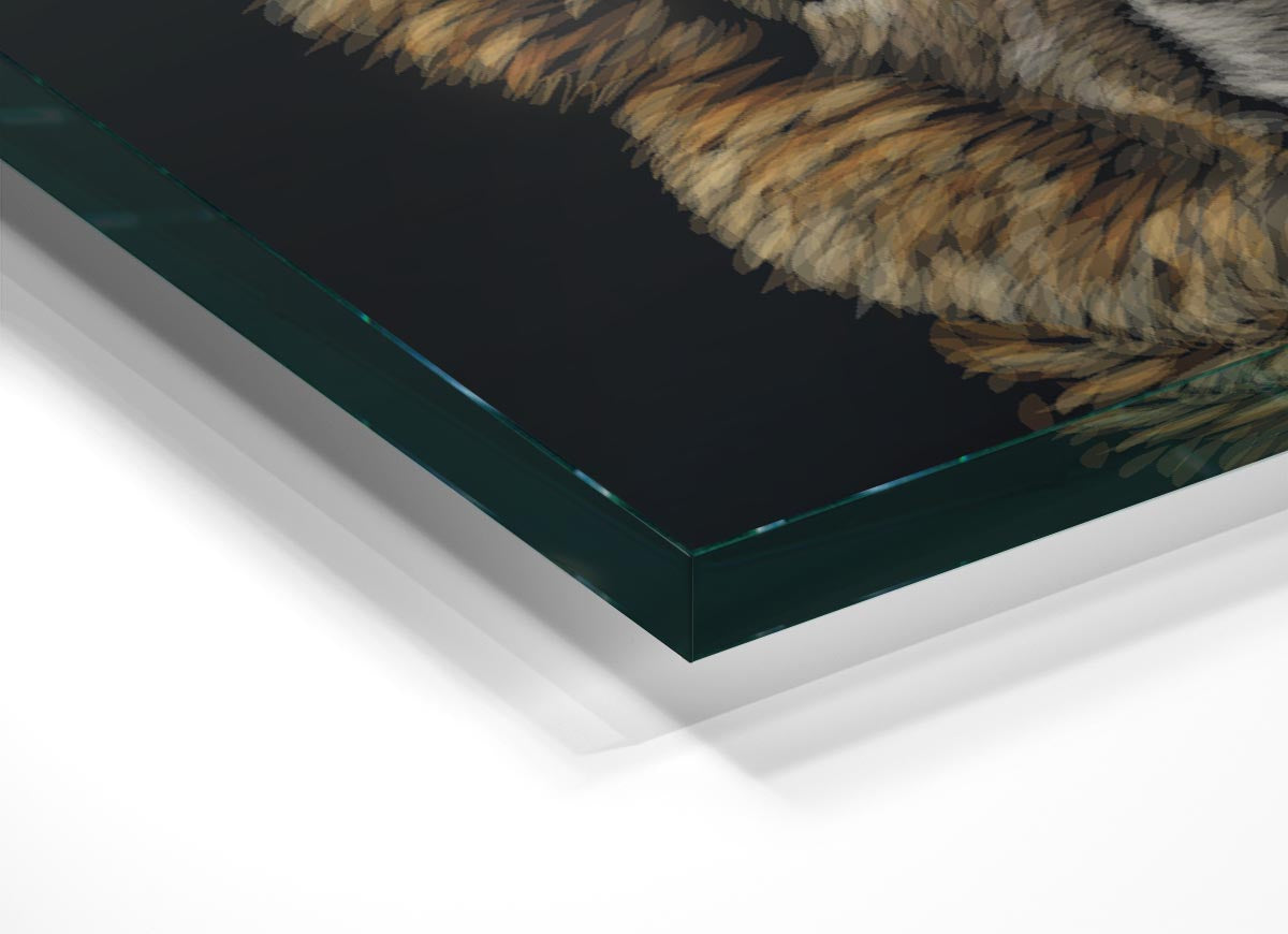 A modern glass print featuring a close-up of an alpaca, showcasing its soft fur and expressive eyes.