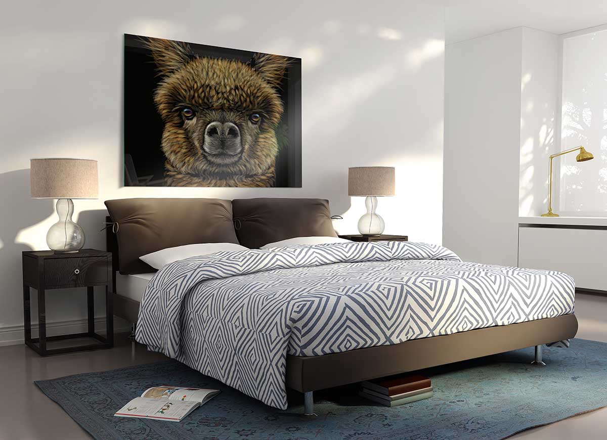 A modern glass print featuring a close-up of an alpaca, showcasing its soft fur and expressive eyes.