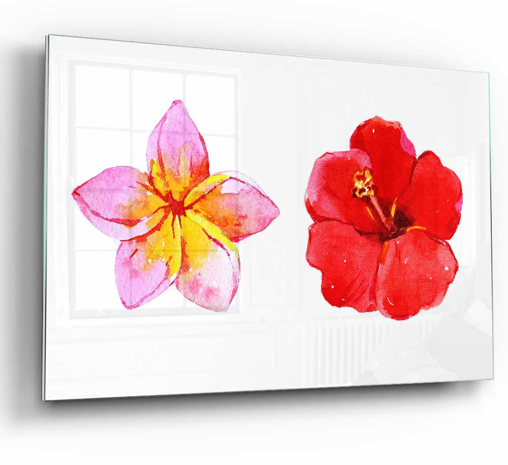 Amaryllis Beauty glass print showcasing vibrant colors and modern design, perfect for home decor.