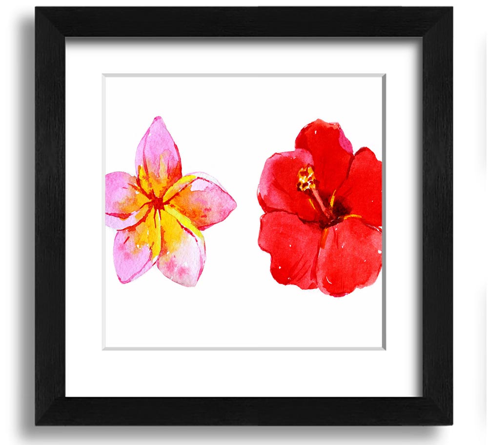Amaryllis Beauty Square Framed Print showcasing vibrant amaryllis flowers in a stylish frame.