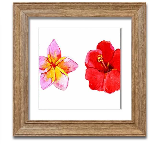 Amaryllis Beauty Square Framed Print showcasing vibrant amaryllis flowers in a stylish frame.