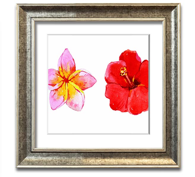Amaryllis Beauty Square Framed Print showcasing vibrant amaryllis flowers in a stylish frame.