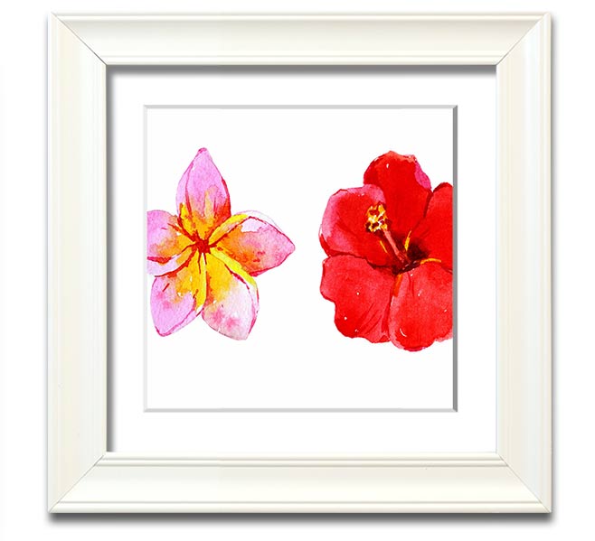 Amaryllis Beauty Square Framed Print showcasing vibrant amaryllis flowers in a stylish frame.