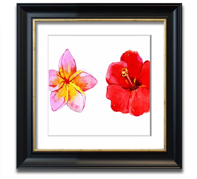 Amaryllis Beauty Square Framed Print showcasing vibrant amaryllis flowers in a stylish frame.