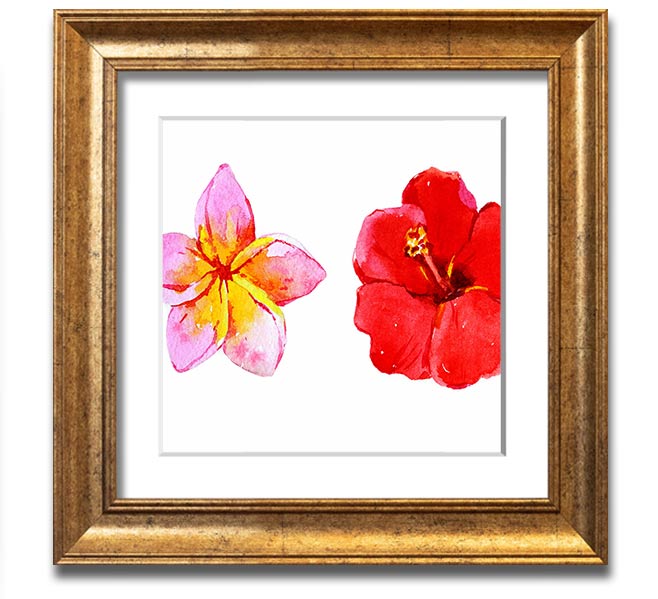 Amaryllis Beauty Square Framed Print showcasing vibrant amaryllis flowers in a stylish frame.