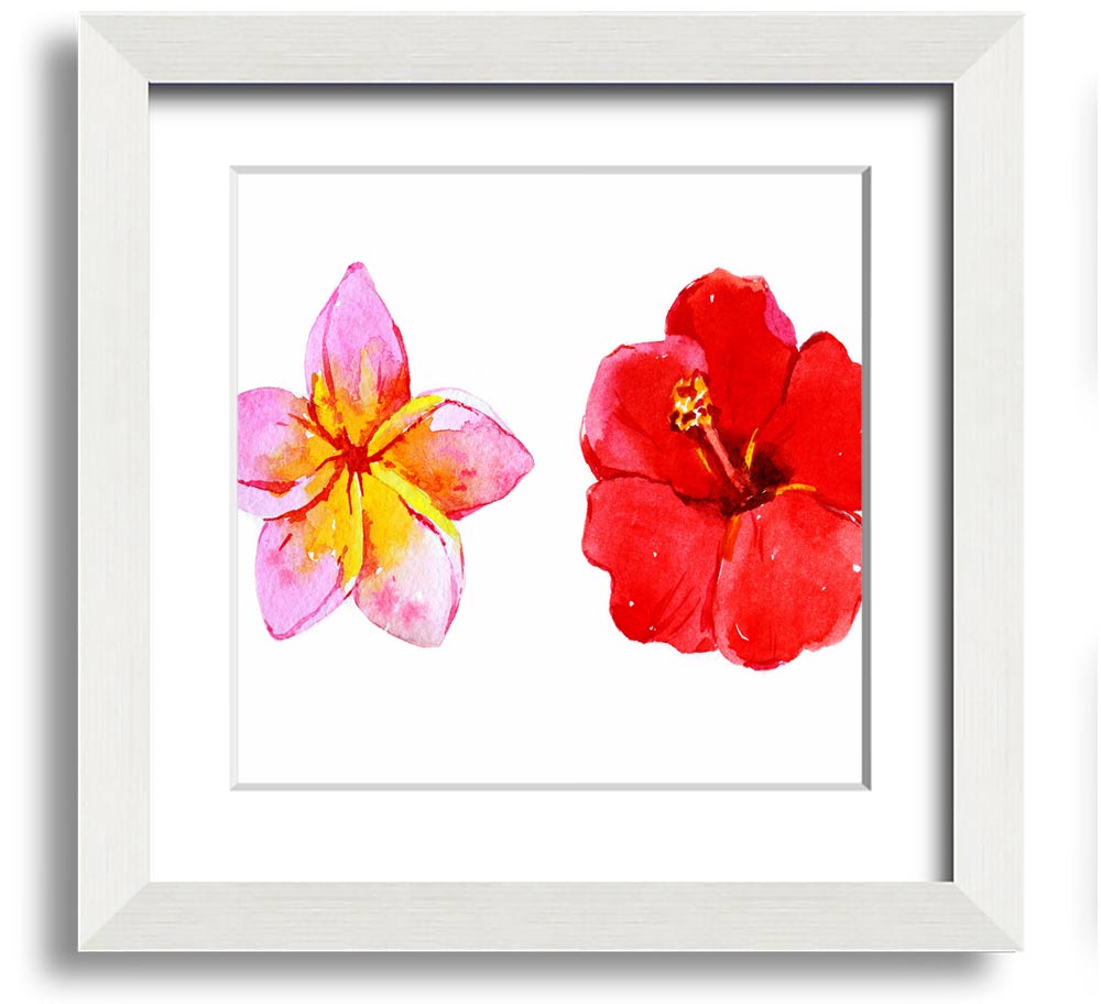 Amaryllis Beauty Square Framed Print showcasing vibrant amaryllis flowers in a stylish frame.