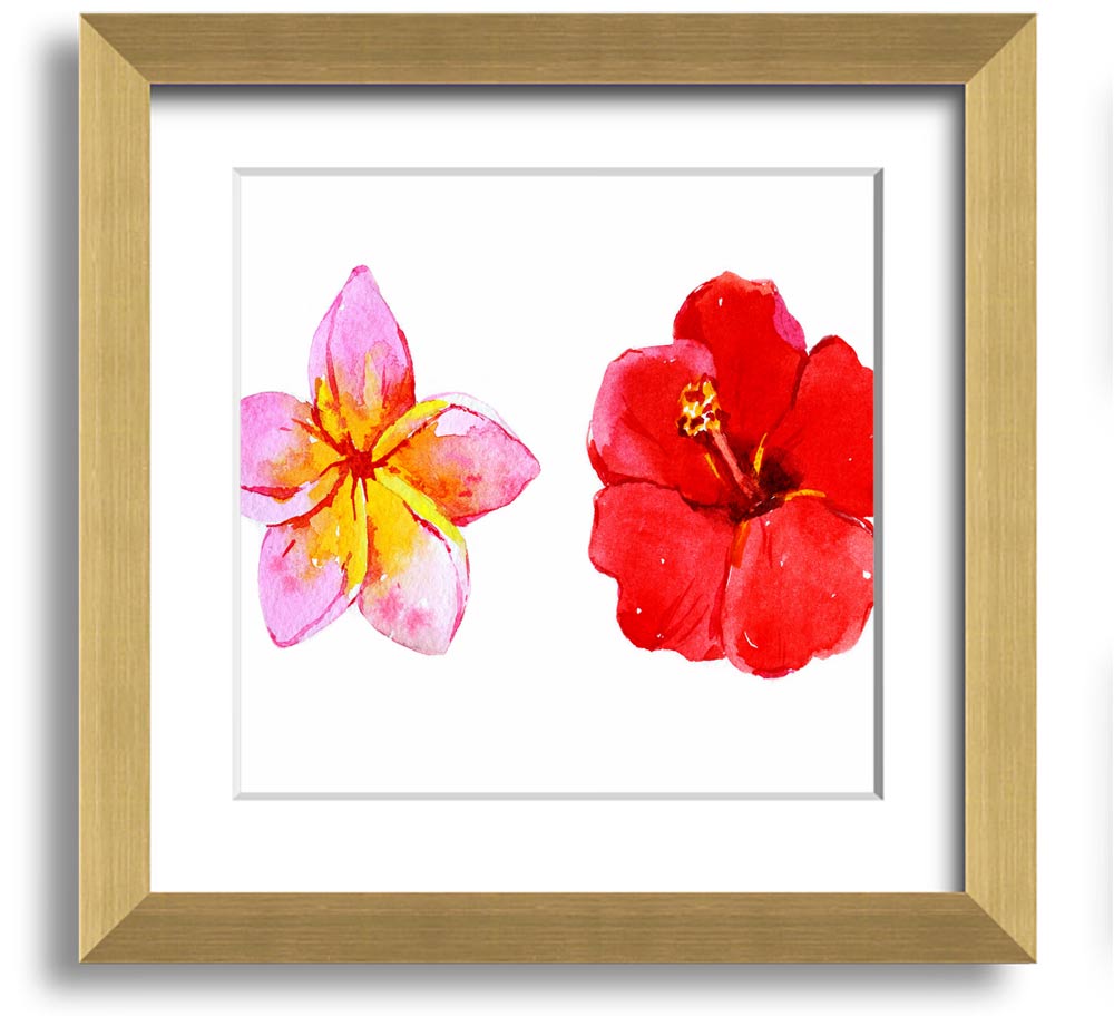 Amaryllis Beauty Square Framed Print showcasing vibrant amaryllis flowers in a stylish frame.