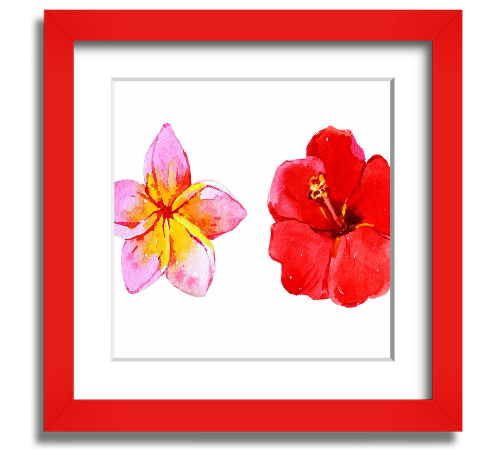 Amaryllis Beauty Square Framed Print showcasing vibrant amaryllis flowers in a stylish frame.