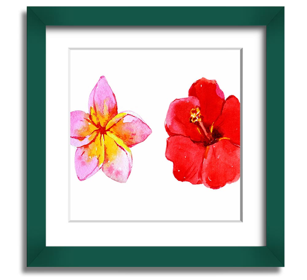 Amaryllis Beauty Square Framed Print showcasing vibrant amaryllis flowers in a stylish frame.