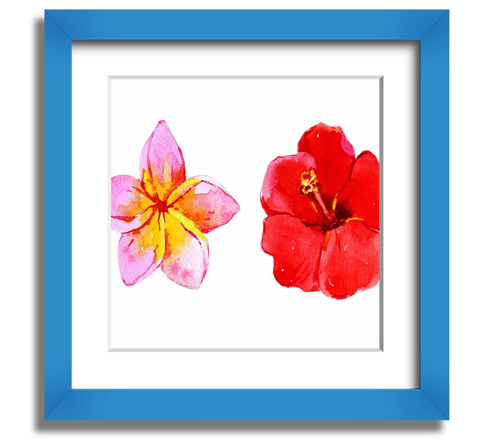 Amaryllis Beauty Square Framed Print showcasing vibrant amaryllis flowers in a stylish frame.