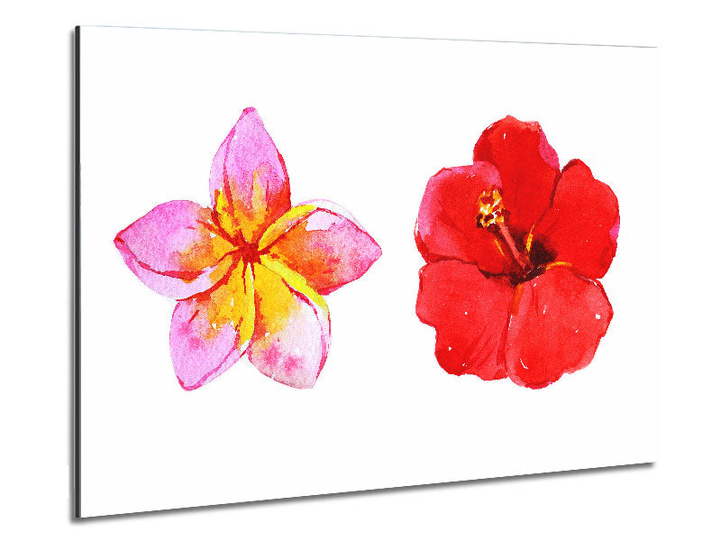 Amaryllis Beauty art piece printed on brushed aluminium dibond, showcasing vibrant colors and modern design.