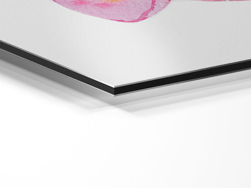 Amaryllis Beauty art piece printed on brushed aluminium dibond, showcasing vibrant colors and modern design.