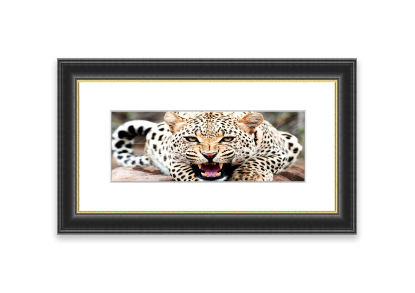 A beautifully framed print of a cheetah, showcasing its elegance and grace, available in various frame colors.