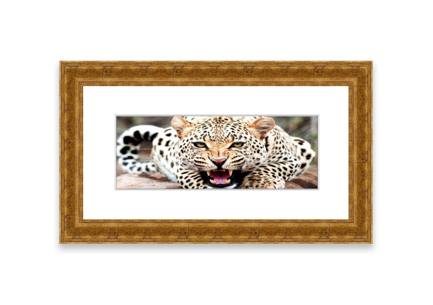 A beautifully framed print of a cheetah, showcasing its elegance and grace, available in various frame colors.