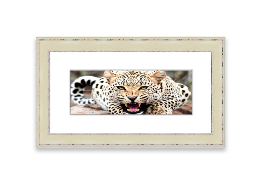 A beautifully framed print of a cheetah, showcasing its elegance and grace, available in various frame colors.