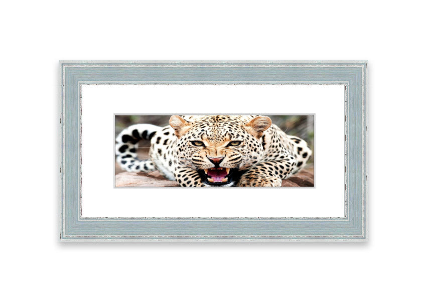 A beautifully framed print of a cheetah, showcasing its elegance and grace, available in various frame colors.