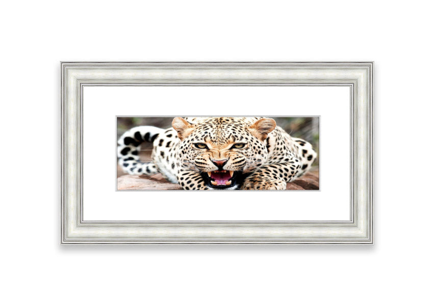 A beautifully framed print of a cheetah, showcasing its elegance and grace, available in various frame colors.