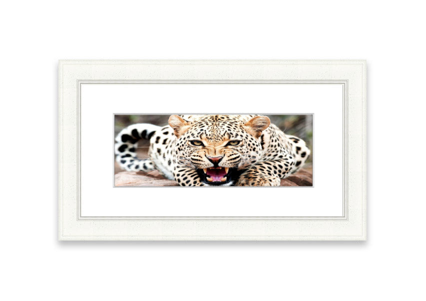 A beautifully framed print of a cheetah, showcasing its elegance and grace, available in various frame colors.