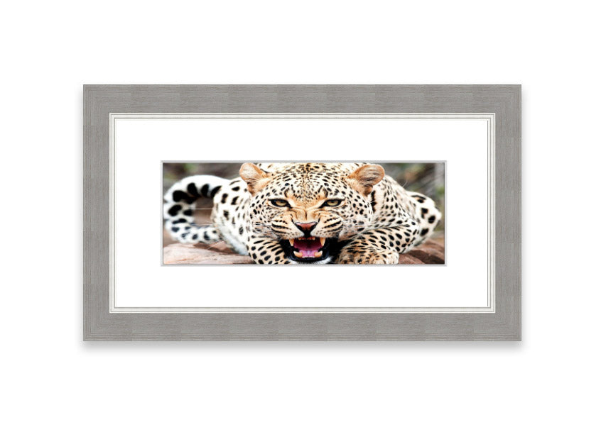 A beautifully framed print of a cheetah, showcasing its elegance and grace, available in various frame colors.