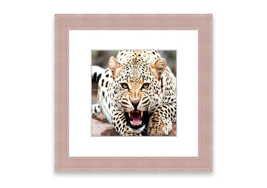 A beautifully framed print of a cheetah, showcasing its elegance and grace, available in various frame colors.
