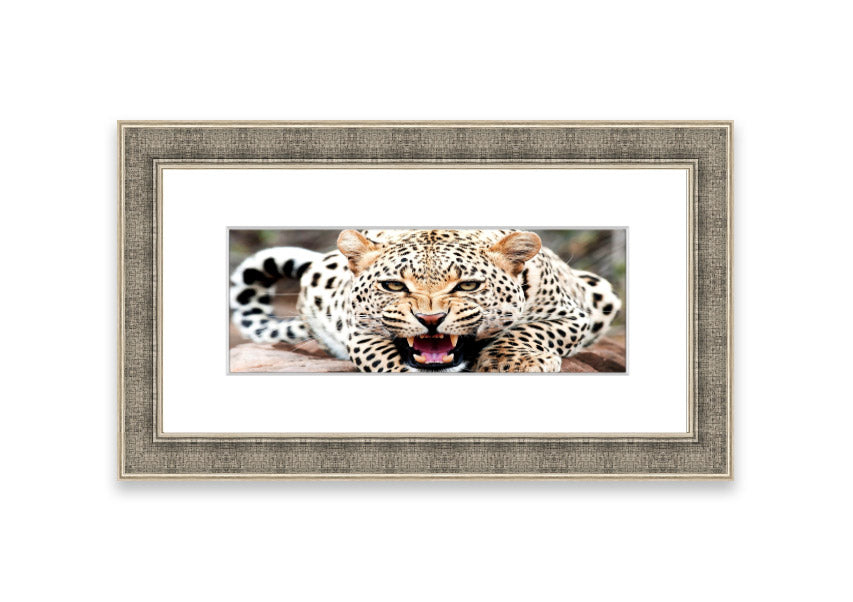A beautifully framed print of a cheetah, showcasing its elegance and grace, available in various frame colors.