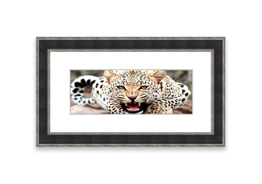 A beautifully framed print of a cheetah, showcasing its elegance and grace, available in various frame colors.