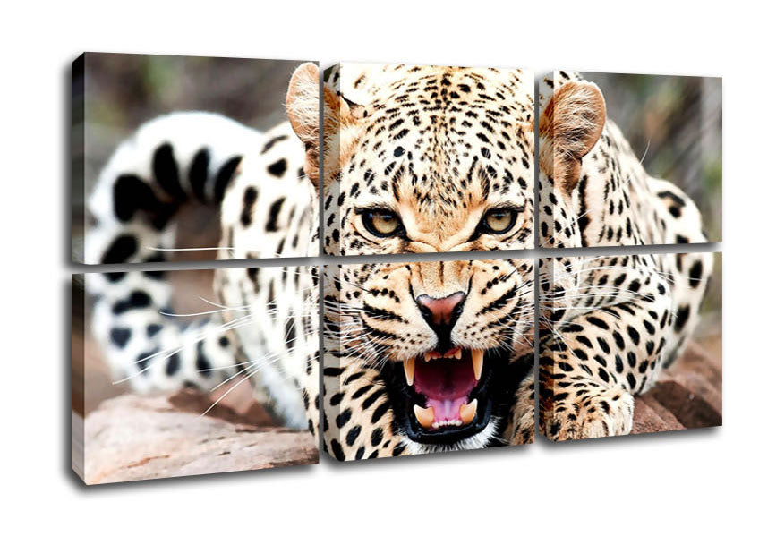 A vibrant canvas print of a cheetah mounted on a sturdy box frame, ready to hang.