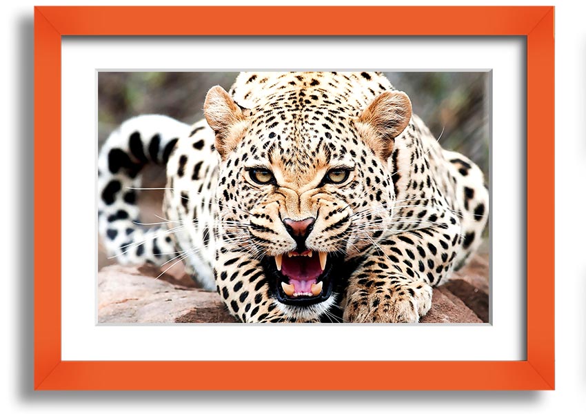A beautifully framed print of a cheetah, showcasing its elegance and speed, available in various frame colors.
