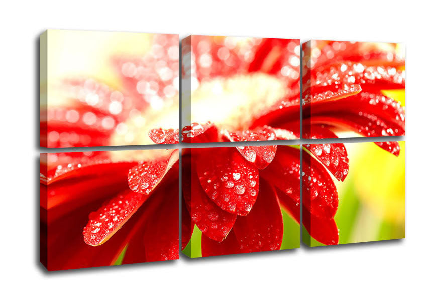 A vibrant red flower canvas art piece mounted on a sturdy box frame, ready to hang.