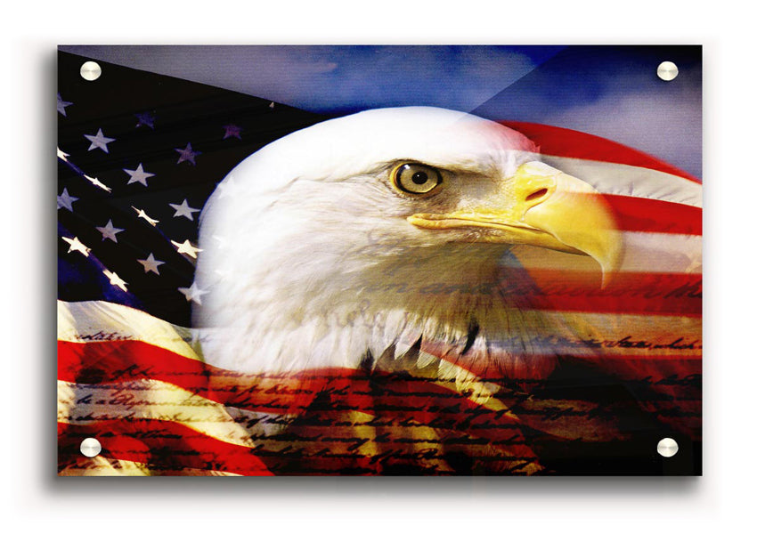 A vibrant acrylic print of the American Eagle Flag, showcasing bold colors and a majestic eagle design.