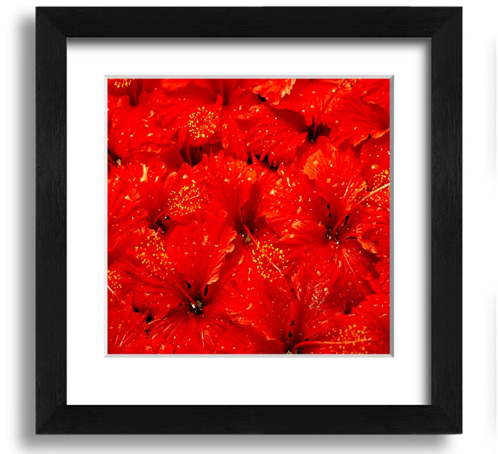 A beautifully framed print of vibrant red leaves, showcasing autumn colors, ready to hang.